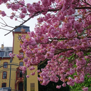 Schloss Wachendorf