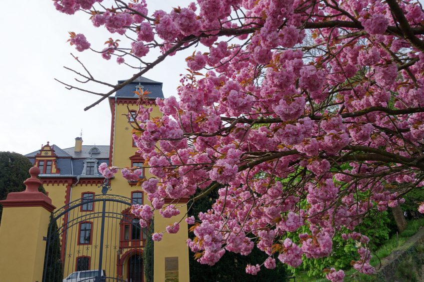 30 Jahre ZEN – das ZEN Zentrum im Schloss Wachendorf begeht Jubiläum